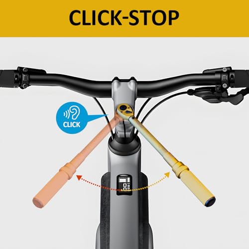 Hairich 1/4 3/8 1/2 inch Drive Click Torque Wrench, 3Pcs Torque Wrench Set 20-240in.lb, 10-45ft.lb, 10-170ft.lb,72-Tooth Dual Range Scales with Quick Release Reversible Head for Car - color: Gold