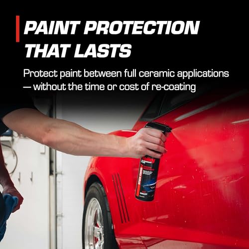 Holley Speed Finish - Ceramic Detailing Spray - High-Performance Car Care, Fast Acting, Quick Drying - Spray on Any Vehicle Surface to Repel Water and Protect Paint - 16 oz. - color: Ceramic Detail Spray, size: 1-Pack