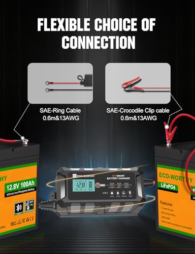 ECO-WORTHY 10A LiFePO4 Battery Charger 12V, Smart Lithium Battery Charger & Maintainer, Trickle Charger and Desulfator for Lead Acid, RV, Car, Motorcycle, Marine, Boat