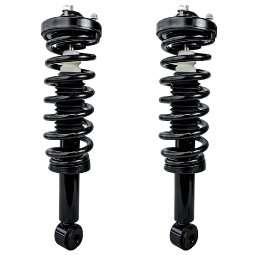 Detroit Axle - RWD Front Struts for 2009-2013 Ford F-150, Complete 2 Struts with Coil Spring 2010 2011 2012 Replacement Suspension Quick Install Ready Strut Shocks Assembly - size: 171140-DA x2/PAIR