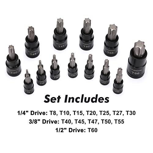 CASOMAN 25 Piece Torx Bit Socket and External Socket Set, 13 Star Socket Bits (T8- T60)& 12 Female E-Torx Sockets (E4-E22) - size: 25-Piece (T8-T60 & E4-E22)