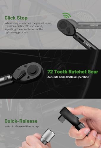 1/2-Inch Drive Click Torque Wrench, 25-165Ft.lb(20-220N.m), 72-Tooth Torque Wrenches with Dual Range Scales, ±3% High Precision Torque Wrench - size: 25-165 ft-lb (1 pc)