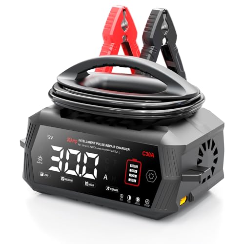 30 Amp Battery Charger, 6V/12V/24V Lithium LiFePO4 Lead Acid Smart Car Battery Charger, Automotive Maintainer Trickle Charger for Car, SUV, Motorcycle, Boat, Lawn Mower - color: 30A-black