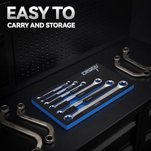 DISEN 6-Piece E-Torx Wrench Set, Double Box End Wrench Set, CR-V Steel, Spanner Set Including E6*E8, E7*E11,E10*E12, E14*E18, E16*E22 and E20*E24 - style: 6PCS