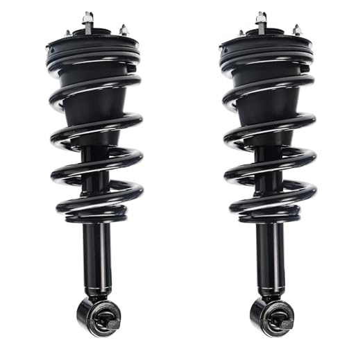 Detroit Axle - 4WD Struts Shocks Kit for 2014-2018 Chevy Silverado 1500 GMC Sierra 1500, 2015 2016 2017 Front Struts with Coil Spring Sway Bar End Links Rear Shock Absorbers Suspension Replacement - size: 6AQS47172-V1/ strut shock sway kit