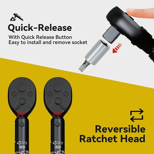 Bike Torque Wrench Set, 2-20 Nm, 35-Piece Kit with 1/4" Drive Click Ratchet Wrench and Bits