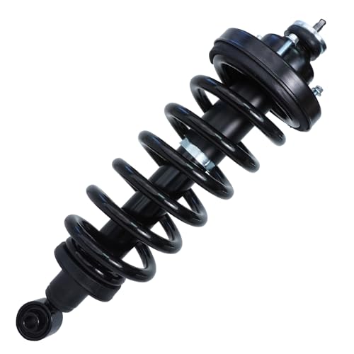 Detroit Axle - 2 Rear Struts for 2006-2010 Ford Explorer Mercury Mountaineer, Complete Struts & Spring Assembly 2007 2008 2009 Replacement Quick Install Ready Struts Shocks - size: 171125 x2/PAIR