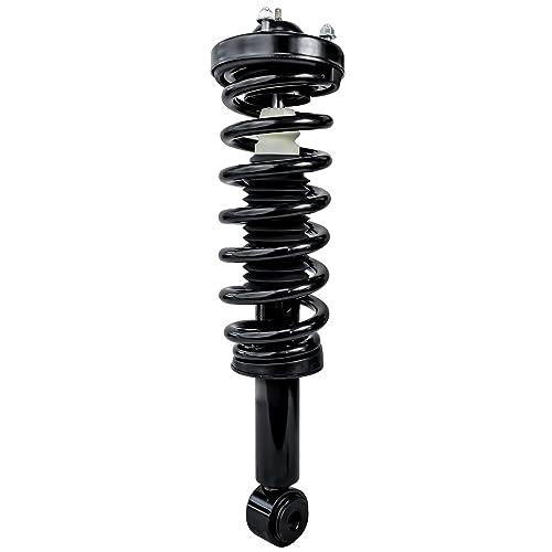 Detroit Axle - RWD Front Struts for 2009-2013 Ford F-150, Complete 2 Struts with Coil Spring 2010 2011 2012 Replacement Suspension Quick Install Ready Strut Shocks Assembly - size: 171140-DA x2/PAIR