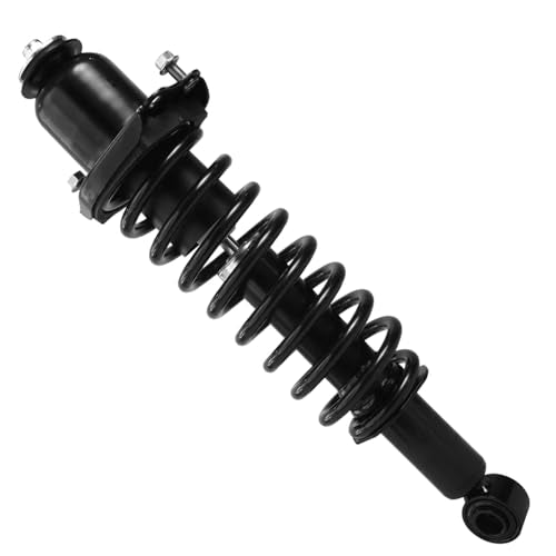 Detroit Axle - 2 Rear Struts for 2003-2008 Toyota Corolla Matrix Pontiac Vibe Complete Struts w/Coil Spring 2004 2005 2006 2007 Replacement Suspension Quick Install Ready Shock Assembly - size: 171373L_171373R/PAIR
