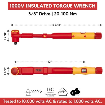 FESA Electrician Insulated Torque Wrench (3/8" Drive, 20-100 Nm Range) | w/Easy Torque Adjustment & Scale Display - Each Insulated Wrench Has ID for Traceability - style: 3/8" Drive, 20-100 Nm Range