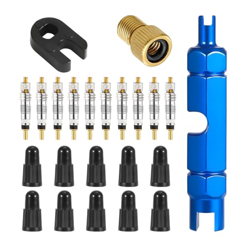 Zpana 23PCS Car Valve Core Removal Kit, Vehicle Tire Stem Core Removal Installation Tools with Tubeless Valve, Automotive Wheel Repair Accessories, Universal for SUV RV Bike