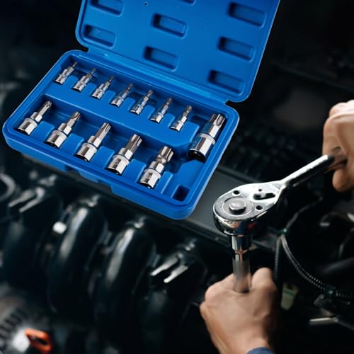 13-Piece Torx Bit Socket Set, T8-T70 Star Bit Sockets | S2 Steel And CR-V Construction with 1/4", 3/8", 1/2" Drive for Automotive And Equipment Repair