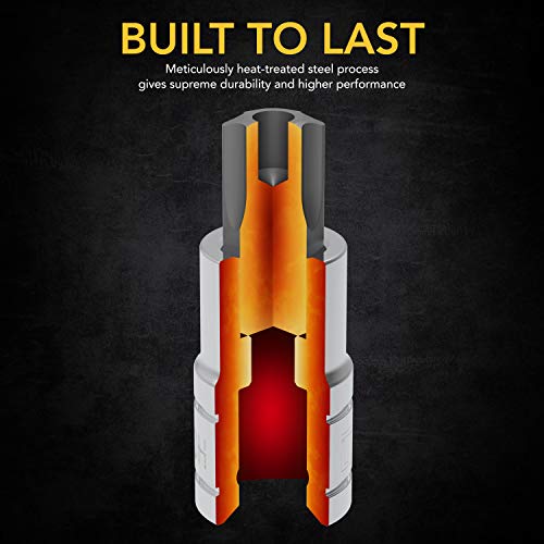 LEXIVON Tamper Proof Torx Bit Socket Set, Premium S2 Alloy Steel | 13-Piece Security Star T8 - T60 Set | Enhanced Storage Case (LX-146) | 13-Piece Security Star T8 - T60 Set, Enhanced Storage Case (LX-146)