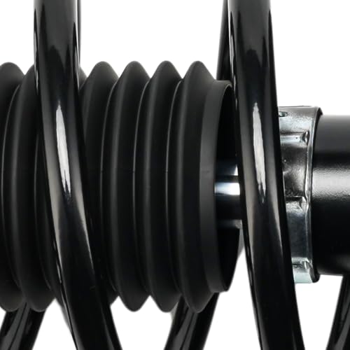 KAX Rear Complete Strut & Coil Spring Assembly Sway Bar Stabilizer Link Suspension Kit Replacement for Ford Taurus 1994-2007,Mercury Sable 1994-2005,Replace 171616*2 SR4011*2 Amortiguadores Traseros - size: 1994-2007 Ford Taurus-Rear