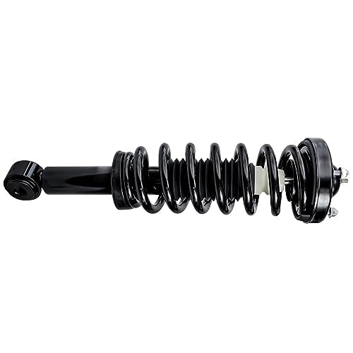 Detroit Axle - RWD Front Struts for 2009-2013 Ford F-150, Complete 2 Struts with Coil Spring 2010 2011 2012 Replacement Suspension Quick Install Ready Strut Shocks Assembly - size: 171140-DA x2/PAIR