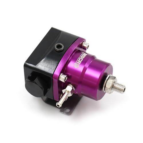 Adjustable Universal EFI Fuel Pressure Regulator Kit with 0-160psi Fuel Pressure Gauge and AN6-6AN Fuel Line Hose Fitting Connectors Kit (PURPLE) - color: PURPLE