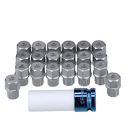 LTI TOOLS Wheel Lock Bolt Kit 21 pcs, Compatible with BMW - Drive Wheel Locks Removal Kit (LT4160)