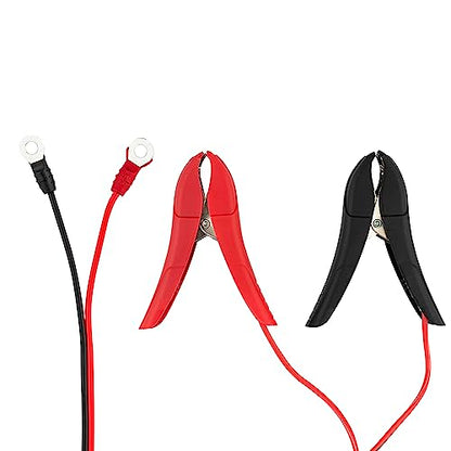 DS18 INF-C6A 6V/12V Car Battery Charger, Portable Automatic Smart Lithium and AGM Battery Trickle Charger & Maintainer 6A for Car Truck Motorcycle Lawn Mower Boat Marine Lead Acid Batteries