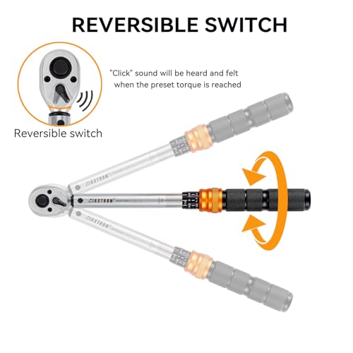 3/8 Inch Drive Click Torque Wrench, 5-45 ft-lb (6.8-61 Nm) Micro-Adjustable Dual Scales, 72-Tooth Reversible Ratchet, ±2% Accuracy, Storage Case - size: 3/8" Drive