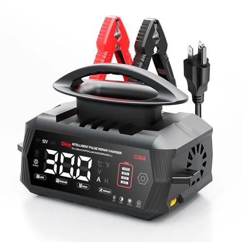 30 AMP Battery Charger, 6V/12V/24V Lead-Acid, Lithium, LiFePo4 Smart Battery Charger, Portable Large Screen Trickle Charger, Fully Automatic Chargers and Maintainer for Car, Motorcycle, Lawn Mower