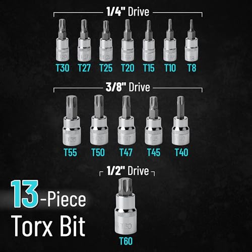 Bates Torx Bit Set - 13 Piece Socket Set, T8-T60, Star & Torx Bits - size: 13 pcs, T8-T60