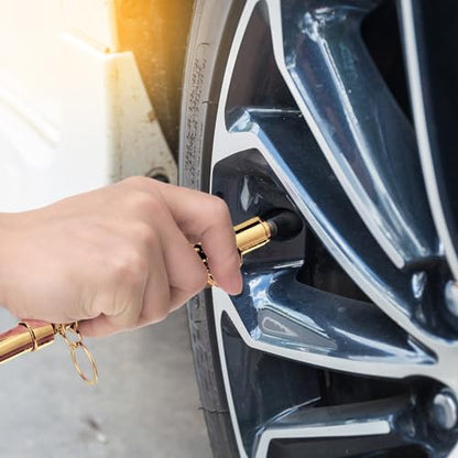 Tallew 10 Pack Dual Head Tire Pressure Gauge Heavy Duty Air Pressure Tire Gauge for Auto Truck Car RV Van Gage Range 10-150PSI, 1-10Bar (Gold) - color: Gold