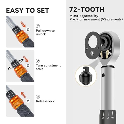 Bike Torque Wrench Set, 1-25 Nm, 45-Piece Kit with 1/4" Drive Click Ratchet Wrench and Bits
