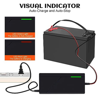 12V 3A Lithium Battery Charger 14.6V LiFePO4 Battery Charger, Battery Maintainer, Smart Charger with LED Indicator Cooling Fan for 12.8V Lithium Iron Phosphate Battery