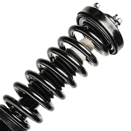 Detroit Axle - 2 Front Struts for 4WD 2004-2008 Ford F-150, 06-08 Lincoln Mark LT [w/o Spacer] Complete Struts with Coil Spring 2005 2006 2007 Replacement Quick Install Ready Strut Shock Assembly - size: 171361 x2/PAIR