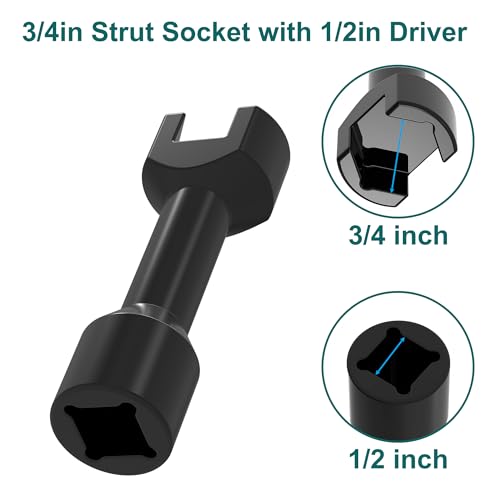 3/4"(19mm) Strut Socket With 1/2" Drive for 1-5/8" Wide Strut Channels-Heat Treated Alloy Steel Forging Suspension Strut Socket Tool(Black) - color: Black