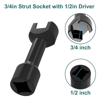 3/4"(19mm) Strut Socket With 1/2" Drive for 1-5/8" Wide Strut Channels-Heat Treated Alloy Steel Forging Suspension Strut Socket Tool(Black) - color: Black