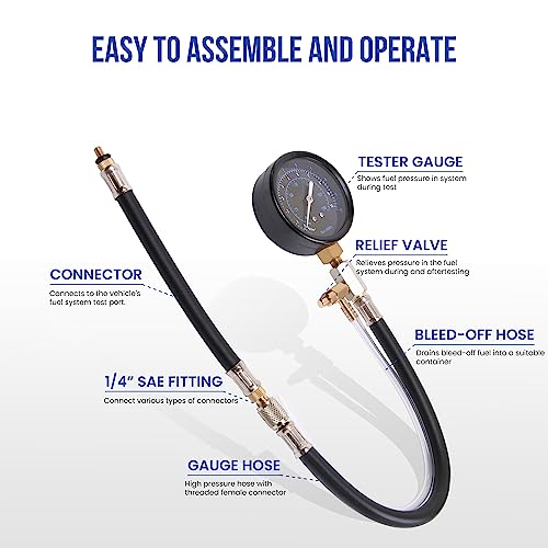 Lichamp Automotive Fuel Pressure Test Kit, Fuel Pump & Rail Diagnostic Gauge with Adapters, Hose, for Car/Truck/Motorcycle
