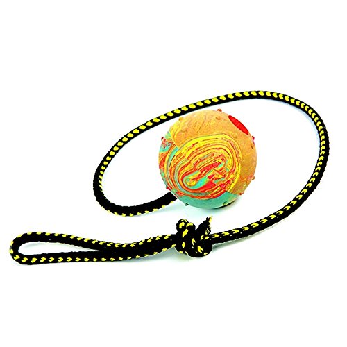 Dingo Dog Ball with Long Rope, Natural Rubber, Assorted Colors - size: Ball with long rope