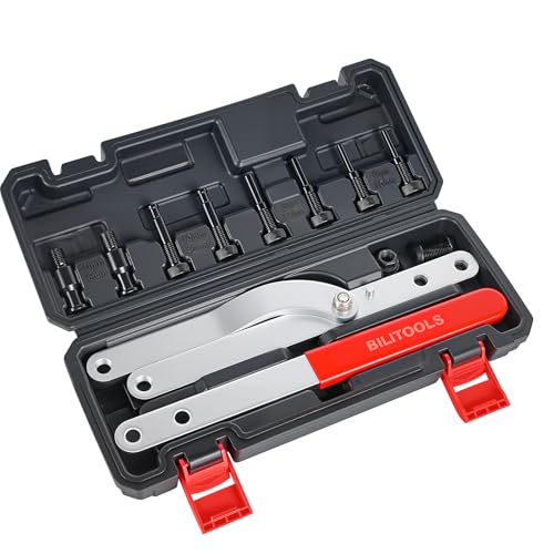 BILITOOLS 16PCS Pulley Holder Tool Set, Step Pin Wrench for Cam & Crank | Step Pins Sizes: 6-10mm, 8-11mm, 10-12mm & 11-16mm, Fits Camshaft, Crankshaft & Deep Groove Pulleys, CR-V Steel