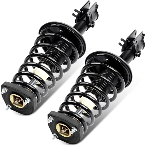 SCITOO Rear Complete Struts Assembly Shock Absorber for Hyundai for Tucson 2005-2009,for Kia for Sportage 2005-2010 Automotive Replacement Struts 172221 172222 - Set of 2