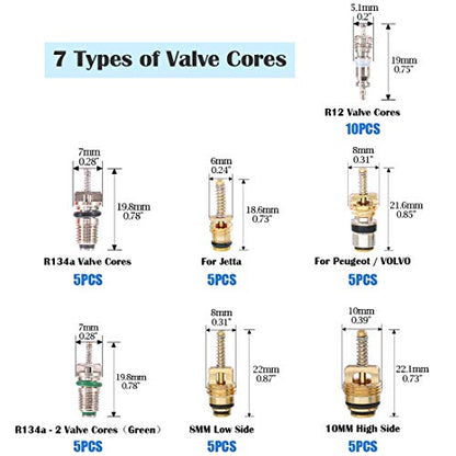 Glarks 41Pcs Schrader Car A/C Valve Core Kit - R12 R134a - Aluminium & Brass & Plastic - Blue Remover Tool - 7.6cm - style: Car Air Conditioner Valve