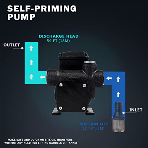 Trupow 110V AC 20GPM Electric Self-priming Diesel Kerosene Oil Fuel Transfer Extractor Pump - style: 20GPM
