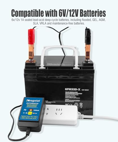 Heagstat HEAG010 Trickle Battery Charger, 6V&12V 1000mA Battery Maintainer - size: 1A 12V