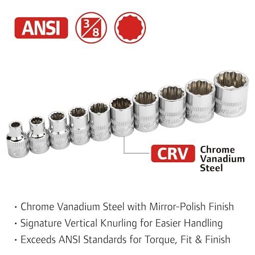Ingersoll Rand 10-Piece SAE 3/8 in. Drive 12-Point Shallow Socket Set, 1/4–7/8 in., Chrome Vanadium Steel with Thermoform Tray – 752048X - size: 3/8 in. Drive Shallow Socket Set, style: SAE