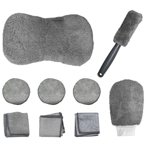 9 in 1 Car Wash Kit, Professional Car Interior Detailing Set, Auto Cleaning Tool for Window Glass Dashboard, Includes Microfiber Towel, Applicator Pad, Car Wash Mitt, Tire Brush (9PCS) - size: 9PCS