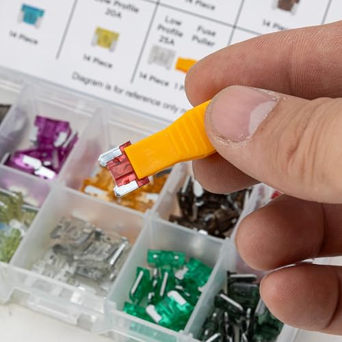 NEIKO 50501A Car Fuse Master Assortment Set, 300pc, Fast Acting, Auto Fuses Kit, Standard, Micro & Mini Sizes, 2A, 3A, 5A, 10A, 15A, 20A, 30A, 35A & 40 Amp, Marine Boat, Automotive, RV, Car Fuse Kit - style: Standard, Mini, Micro Car Fuse Set (2A–40A)