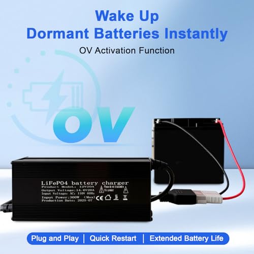 12V 20A Lithium Battery Charger 14.6V LiFePO4 Battery Charger, AC-DC Smart Charger with Anderson Connector LED Indicator, Built-in Safety Protections, Support 0V Charging Function - color: 14.6V 20A