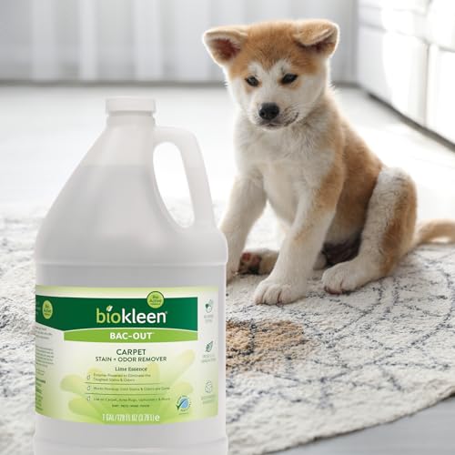 Biokleen Bac-Out Enzyme Cleaner and Stain & Odor Remover for Pet Stains, Laundry, Diapers, Wine, Carpets, & More, Eco-Friendly, Non-Toxic, Lime Scent, 128 Ounces - size: 128 Fl Oz (Pack of 1)