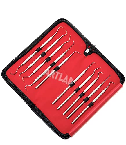 Premium Set of 12 Stainless Steel Precision Micro Probe Set Combo-Straight, Single, Short Double, Long Double, Triple and Hook Tips -Pick Tool Set 5.5"(14CM) (Set of 10 Each)