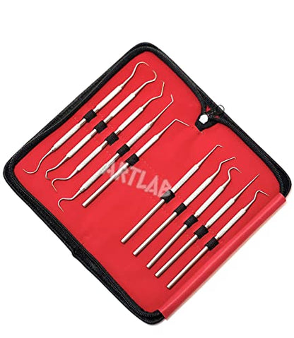 Premium Set of 12 Stainless Steel Precision Micro Probe Set Combo-Straight, Single, Short Double, Long Double, Triple and Hook Tips -Pick Tool Set 5.5"(14CM) (Set of 10 Each)