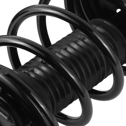 Auto Dynasty Pair of Front Coil Spring Shock Strut Mount Assembly and Rear Struts Shock Absorber Compatible with Toyota RAV4 1996-2005, Matte Black Powdercoat