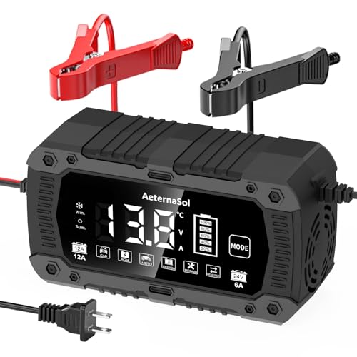 12A Smart Car Battery Charger, 12V/24V Battery Maintainer Charger for Car Motorcycle, Trickle Charger, Fully Automatic Detect Battery Type & Voltage with Desulfator (Black) - color: Black, size: 12V 12A