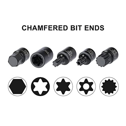 CASOMAN 84 Pieces 3/8" Dr. Master Hex & Torx Bit Impact Socket Set, CR-MO, SAE/Metric, Impact Grade, 3/8" Drive Allen Bit Socket Set