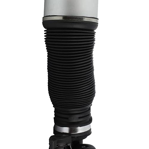 Detroit Axle - Front Air Spring Suspension Struts Replacement for 2003-2006 Mercedes S430 S500 4-Matic w/o ABC - 2pc Set - size: 220 320 21 38_220 320 22 38/Pair