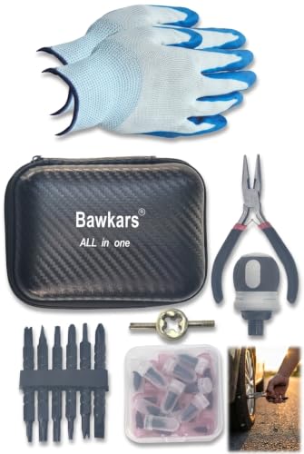 Tire Repair Rubber Nail Kit with Ratcheting Screwdriver, Needle-Nose Pliers & Organizer Case, Fast Self-Service Tool for Car, Truck, Motorcycle, Tractor Tire Puncture Repair - size: All-in-One Package